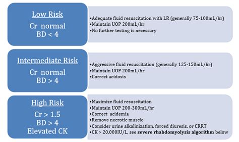 ck level chart|admission criteria for rhabdomyolysis.